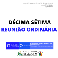 17ª Reunião Ordinária de 2024